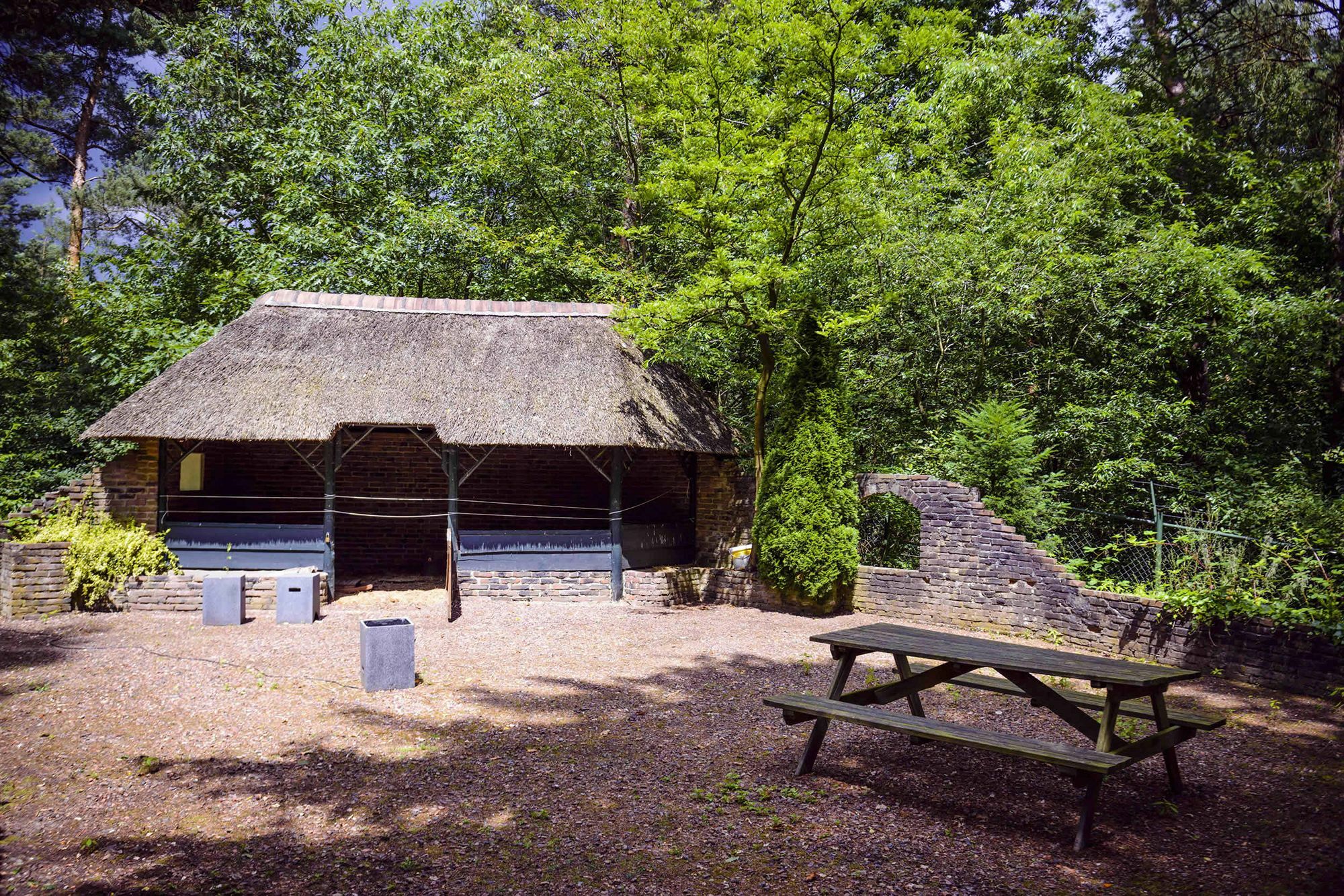 Fletcher Hotel Restaurant De Wipselberg-Veluwe Beekbergen Εξωτερικό φωτογραφία